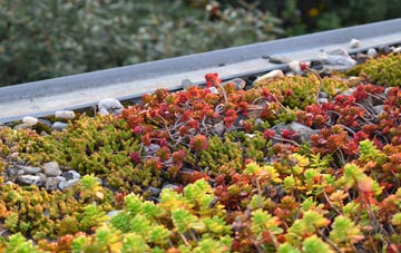 the cost of Old green roof installation