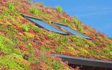 Old living roof systems