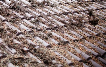 Old roof cleaning companies